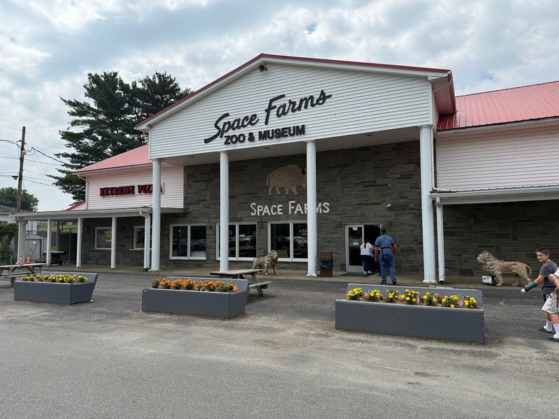A Zoo And A Museum Sharing One Rural Address A Zoo And A Museum Sharing One Rural Address