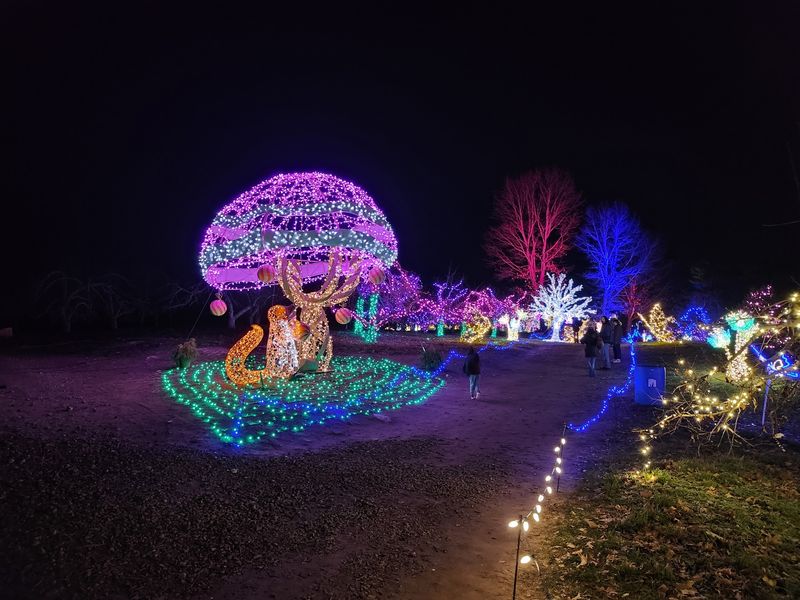 After Dark, The Orchard Trades Apples For Glowing Lights After Dark, The Orchard Trades Apples For Glowing Lights