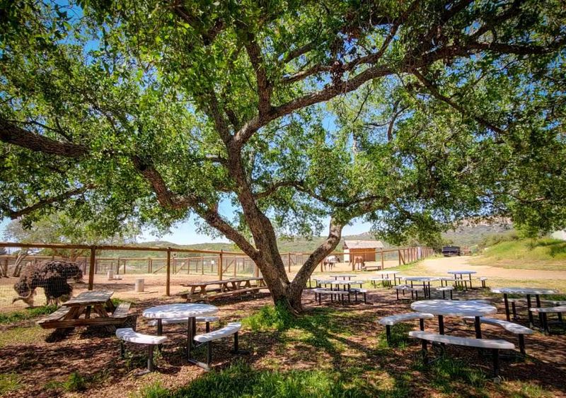 Alpine Acres Sanctuary Farm™ Alpine Acres Sanctuary Farm™