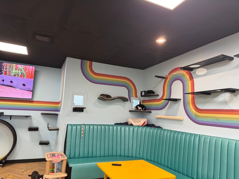 An Inclusive Vibe Where Everyone Belongs An Inclusive Vibe Where Everyone Belongs