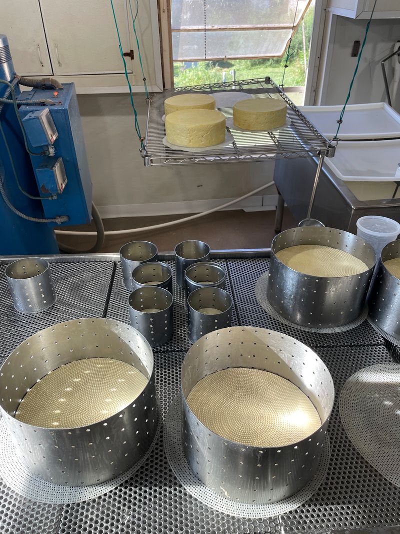 An Old-World Trick With Yesterday's Whey An Old-World Trick With Yesterday's Whey