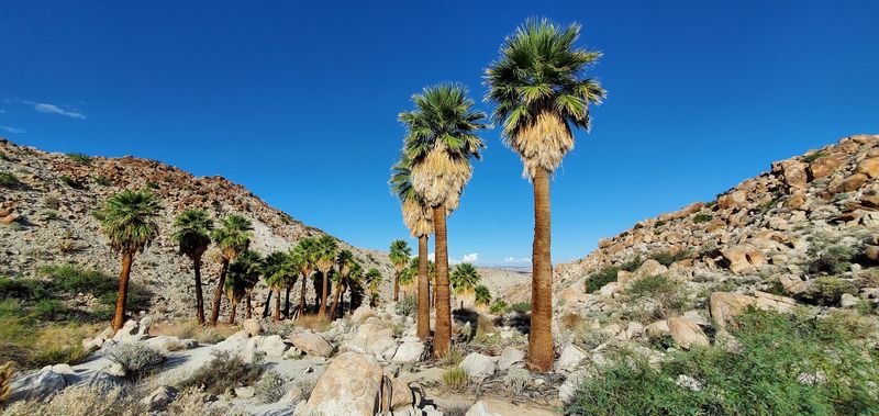 Anza-Borrego Desert State Park
