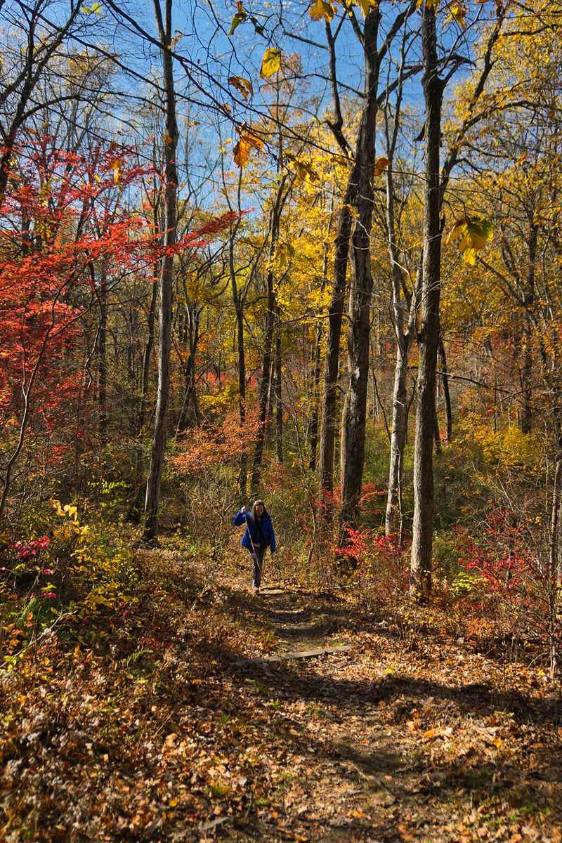 Autumn Leaves, Muddy Boots, And A Crowded New Year