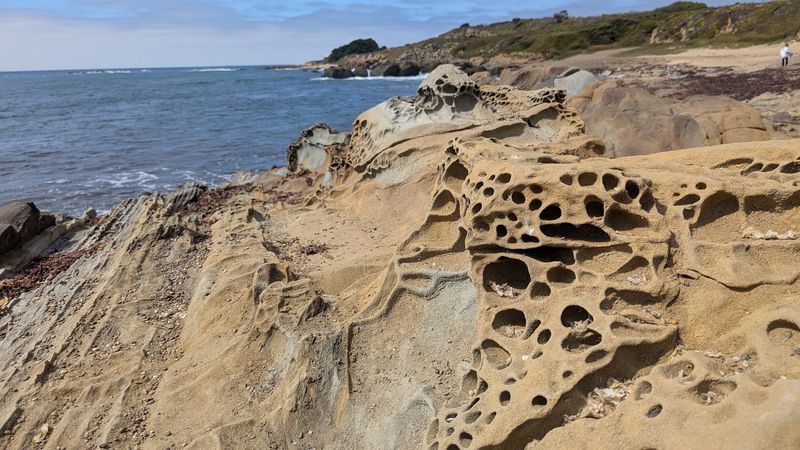 Bean Hollow State Beach