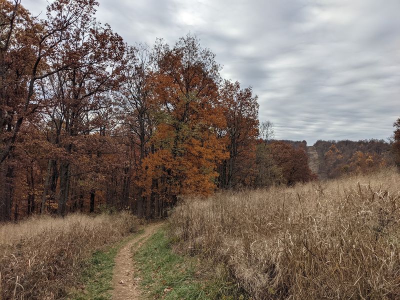 Bragging Rights on the Appalachian Trail Bragging Rights on the Appalachian Trail