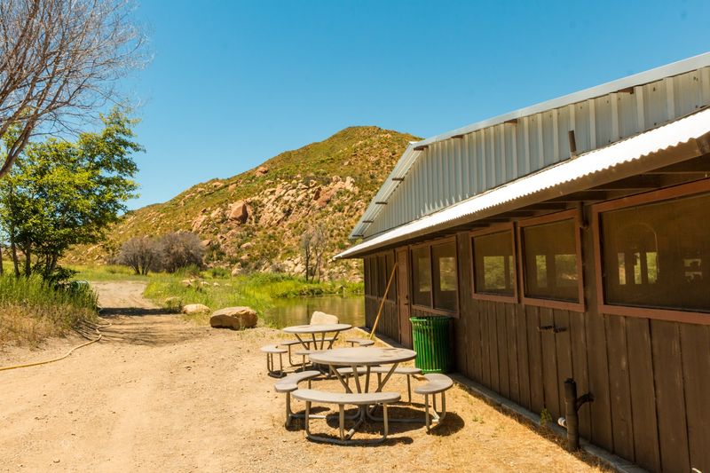 Breakfast Starts In The Chicken Coop