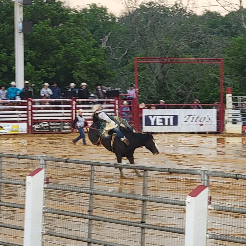 Bull Riding Steals The Spotlight