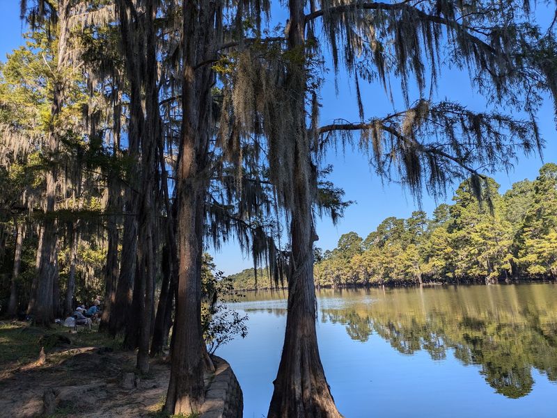 Caddo Lake State Park, Karnack, TX