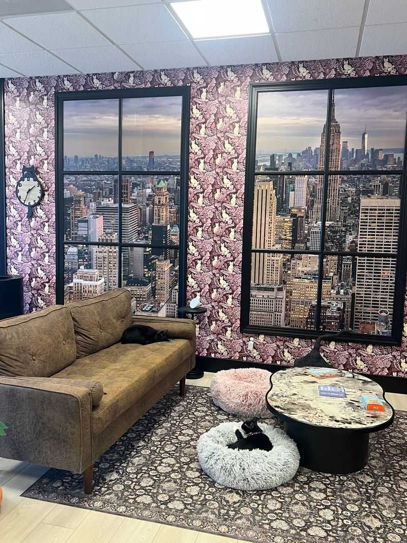 Central Park and Times Square, Feline Edition