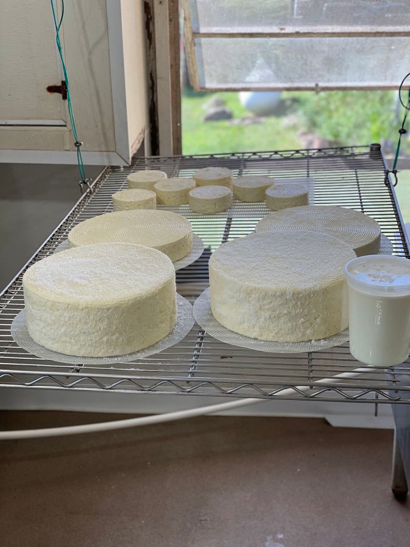 Cheese That Follows The Seasons, Not A Factory Clock Cheese That Follows The Seasons, Not A Factory Clock