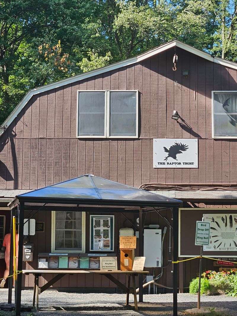 Chipmunks At The Feeders, Picnic Tables, And A Gift Shop Worth Browsing