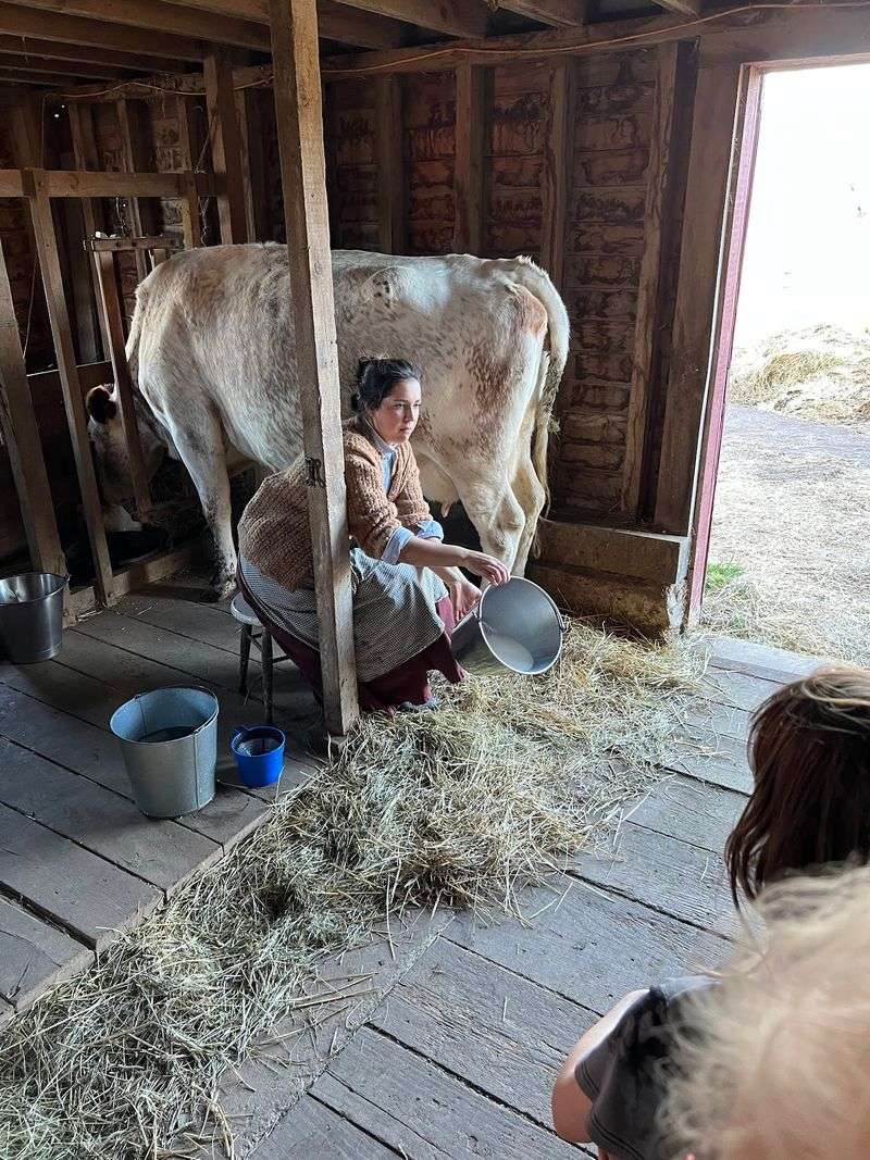Chores Kids Actually Want To Do