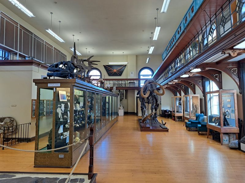 Collections With Roots Reaching Back To The 1830s