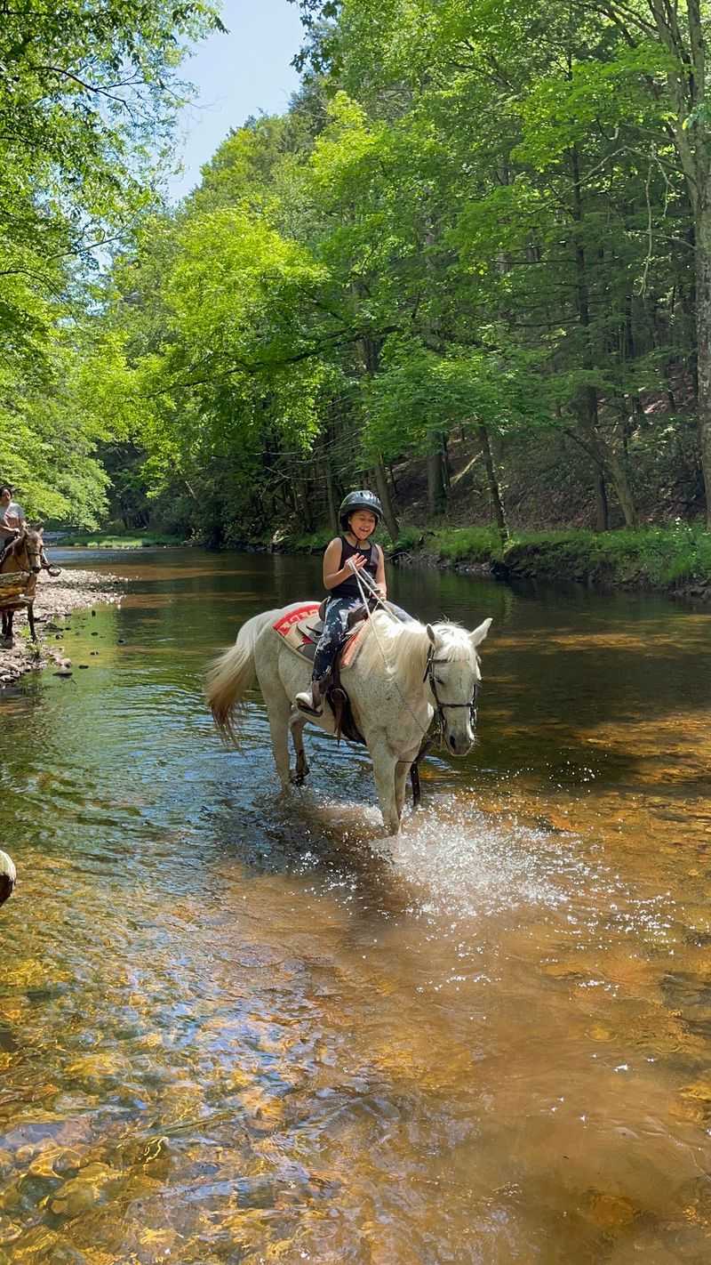 Creeks, Meadows, And Shady Forest Paths All On One Ride Creeks, Meadows, And Shady Forest Paths All On One Ride