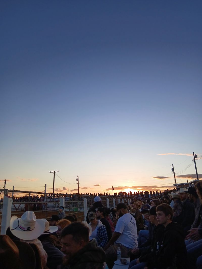 Crowds, Bleachers And A Friendly Family Vibe