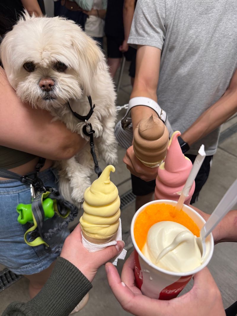 Dairy-Free Swirls for the Whole Crew