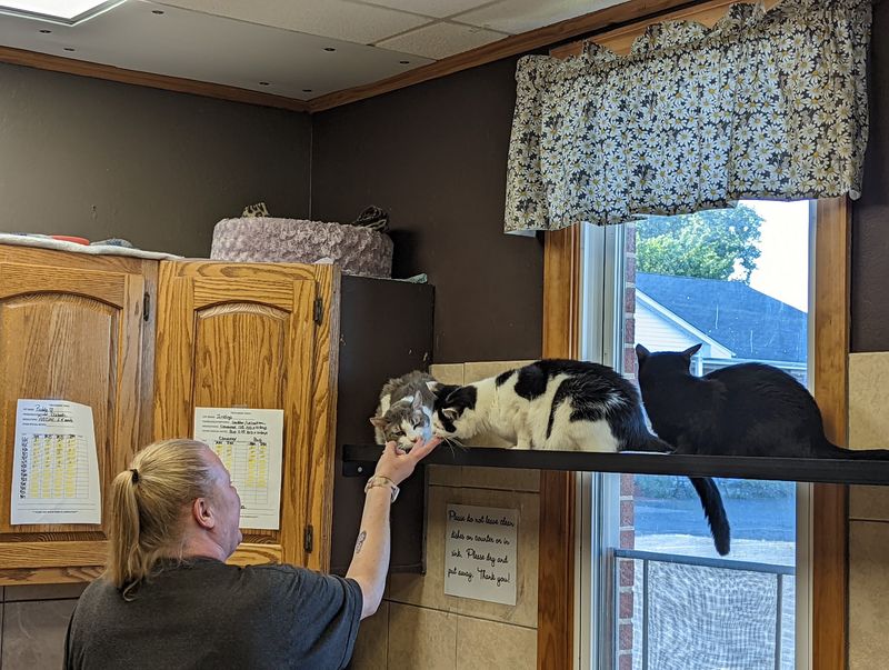 Deb and the People Behind the Purrs