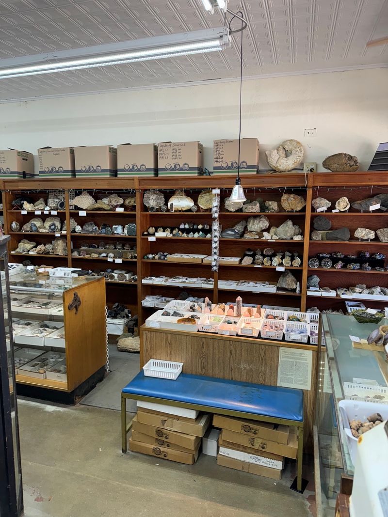 Dusty Shelves and Old-Timey Charm Dusty Shelves and Old-Timey Charm