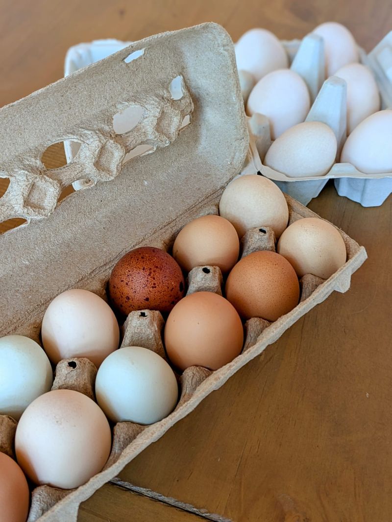 Eggs With Yolks That Steal The Spotlight