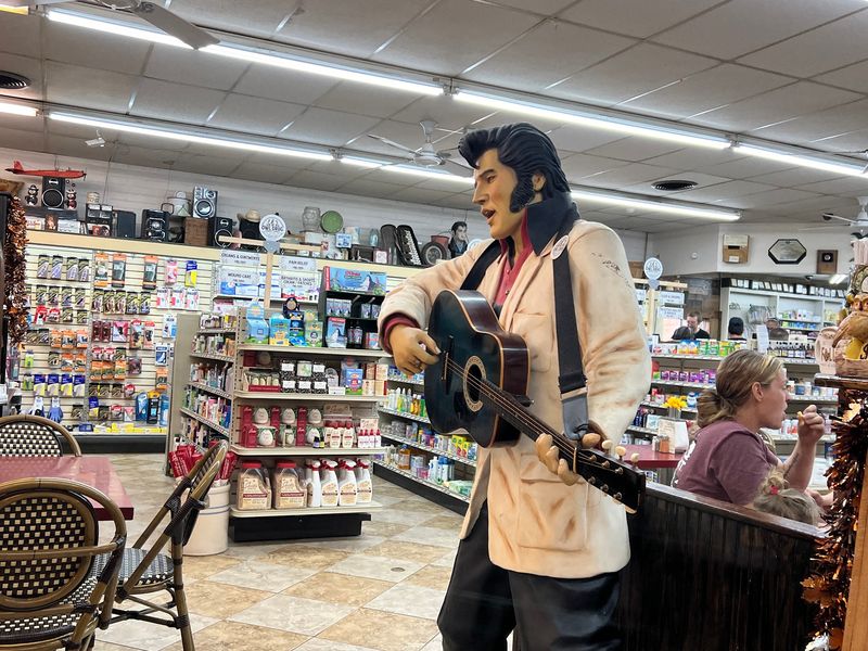 Elvis, Owls, and a Room Full of Nostalgia Elvis, Owls, and a Room Full of Nostalgia