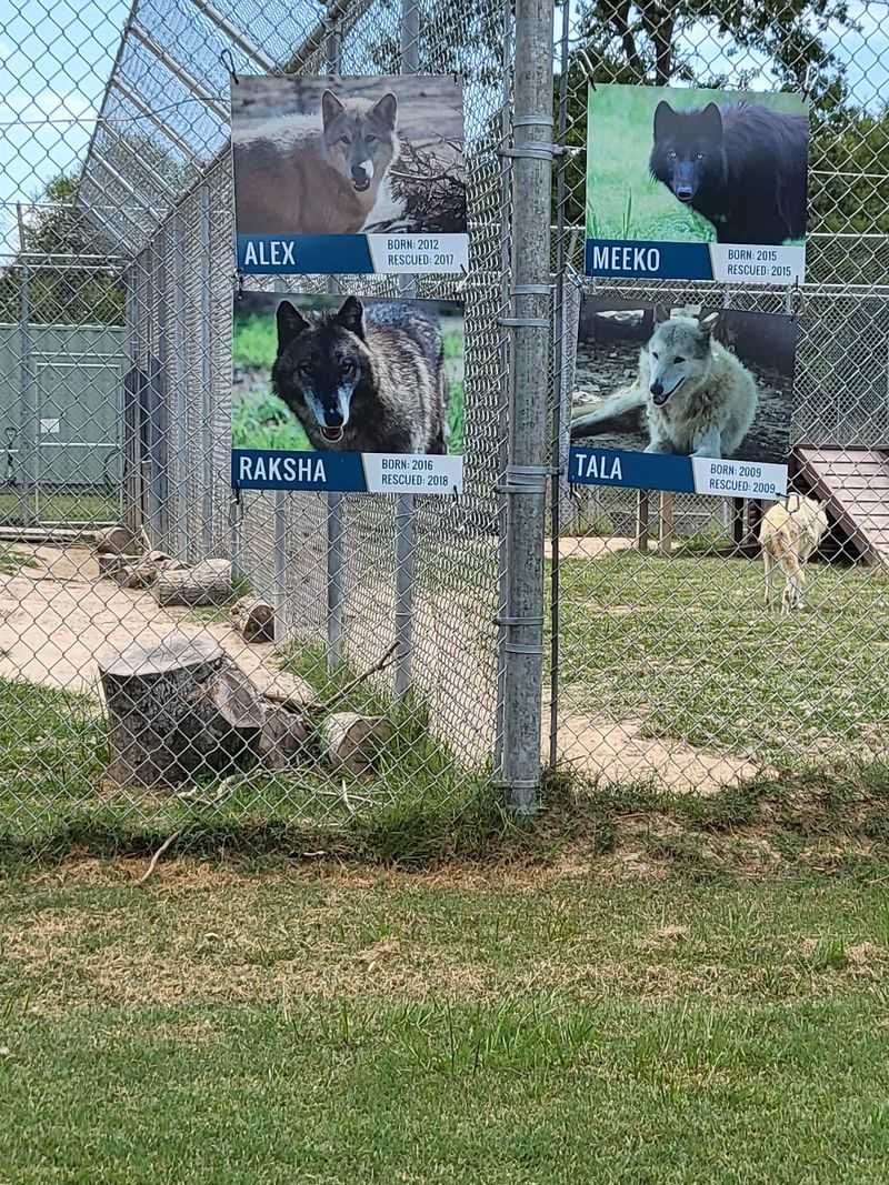 Every Resident Has a Rescue Story Every Resident Has a Rescue Story