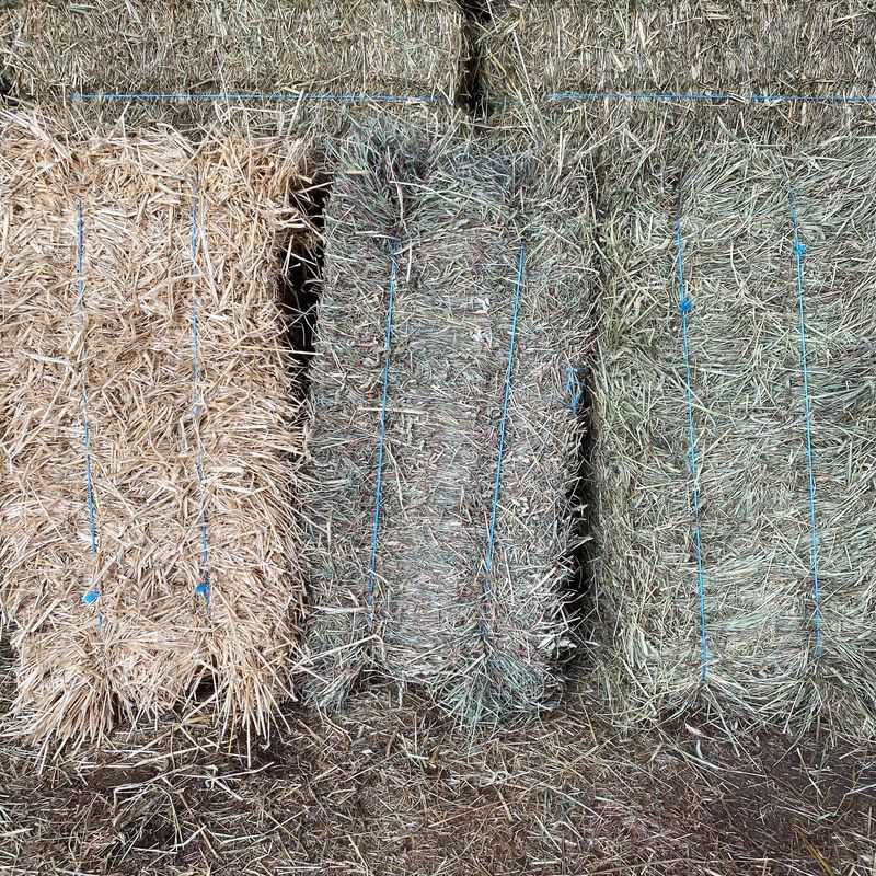 Fall Brings Hay, Straw And Pumpkins In Every Color Fall Brings Hay, Straw And Pumpkins In Every Color