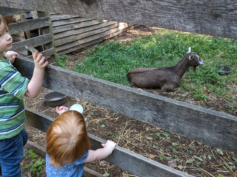 Families, History Buffs, And Small Dogs All Fit Right In