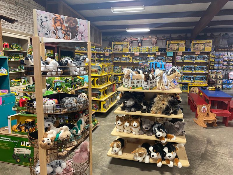 Family-Friendly, Dog-Welcome Atmosphere