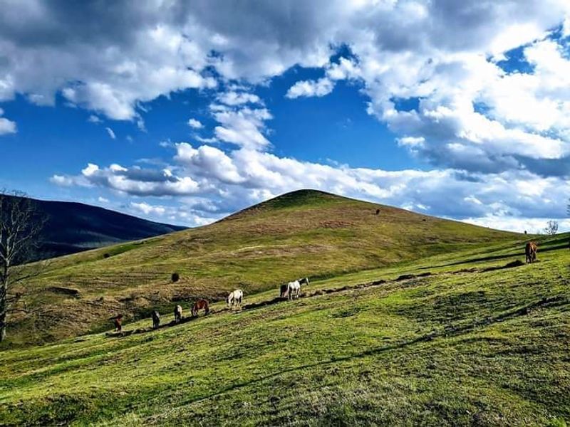 Farm Fields, Mountain Air, and a Very Old Secret Farm Fields, Mountain Air, and a Very Old Secret