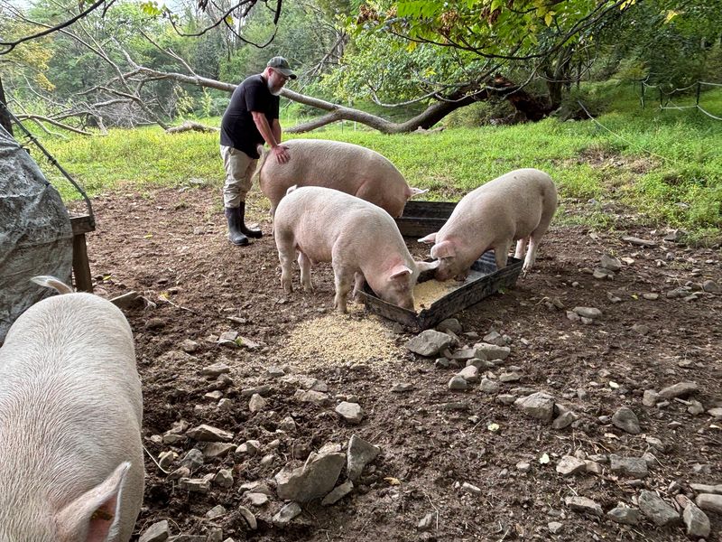 Farm Tours That Feel Like Meeting The Neighbors
