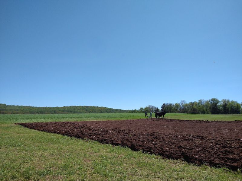 Farming Like It Is Still Around 1900