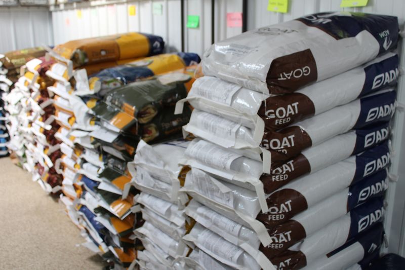Feed for Chickens, Goats and Backyard Birds