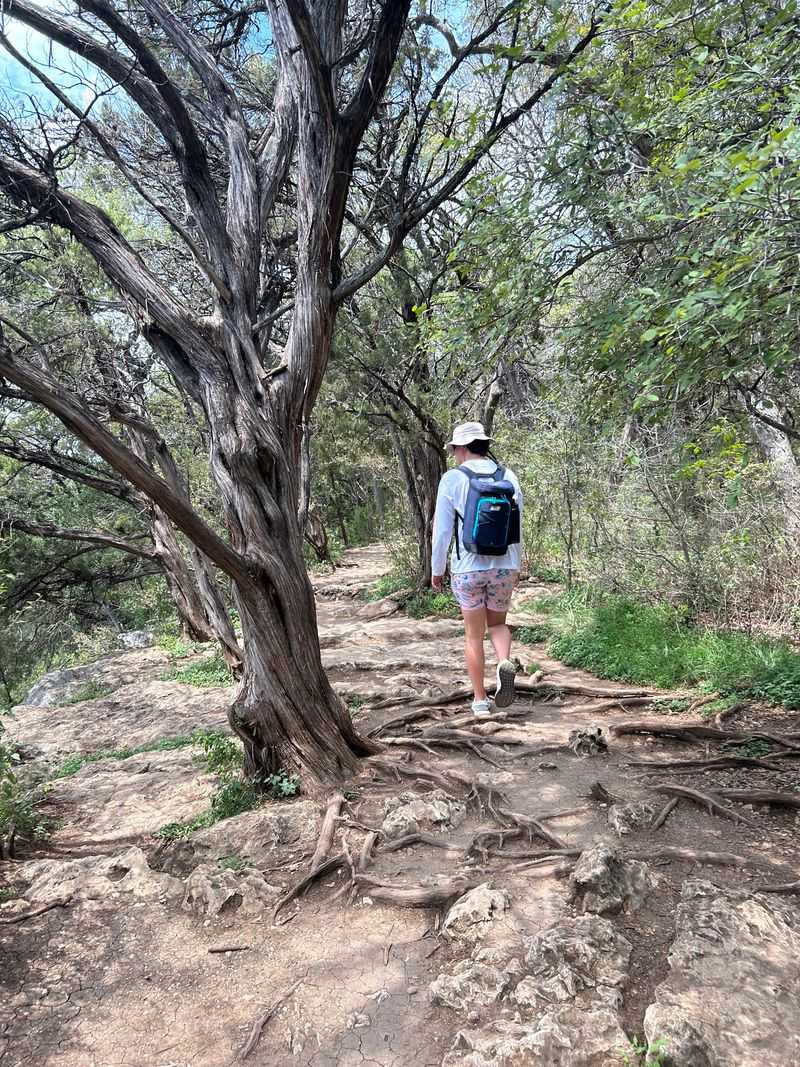 Finding Your Way Back Finding Your Way Back