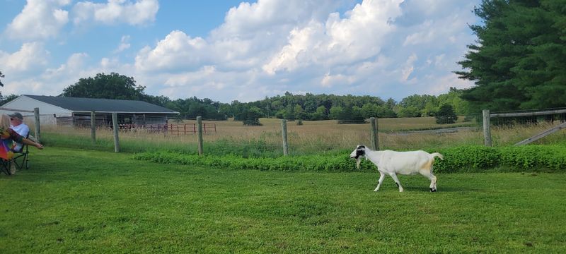 Finding the Farm and Planning Your Visit Finding the Farm and Planning Your Visit