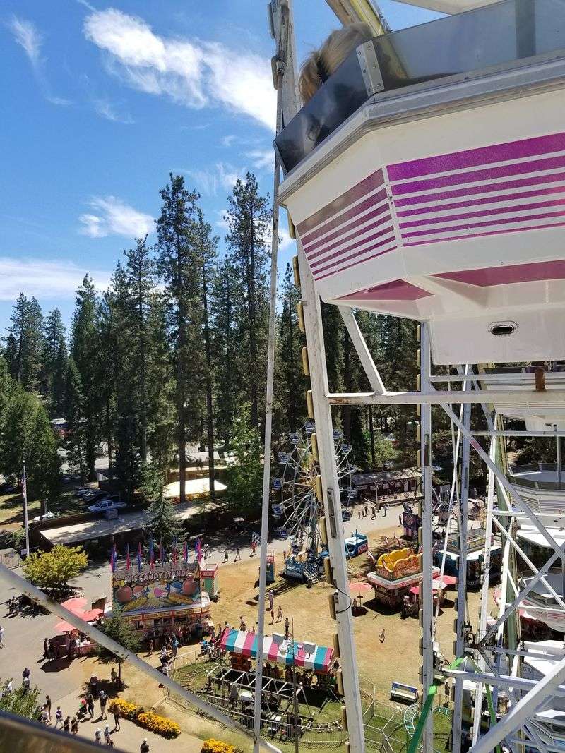 Five August Days When The Midway Lights Up The Pines