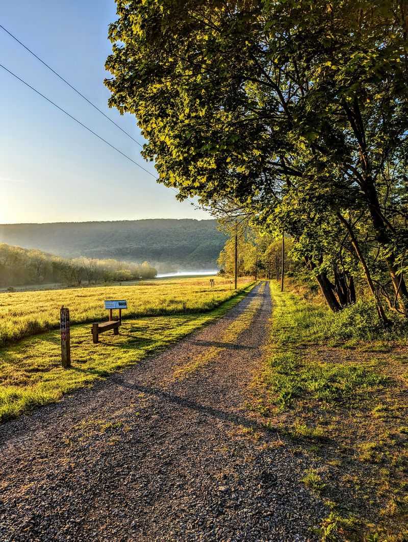 Flat Riverside Paths for an Easy Afternoon