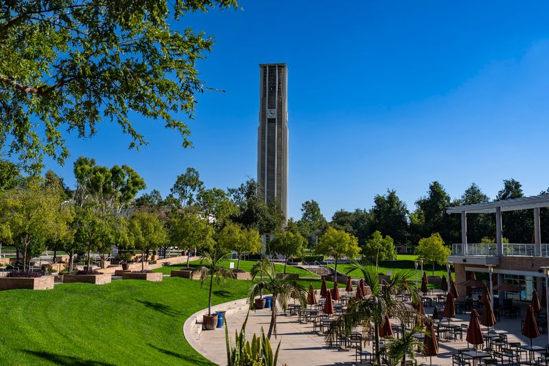 Follow the Bell Tower and You Won't Get Lost Follow the Bell Tower and You Won't Get Lost