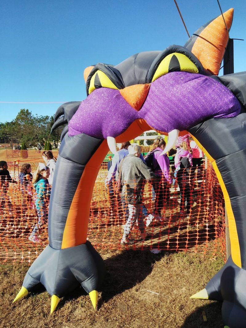 Follow the Giant Cat to a Roadside Pumpkin Patch Near Williamsburg