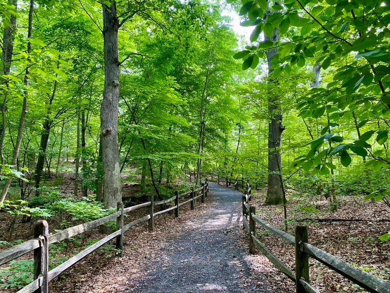 Footpaths With A Lenape Backstory Footpaths With A Lenape Backstory
