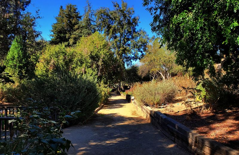 Forty Acres of Garden Paths Worth a Detour Forty Acres of Garden Paths Worth a Detour