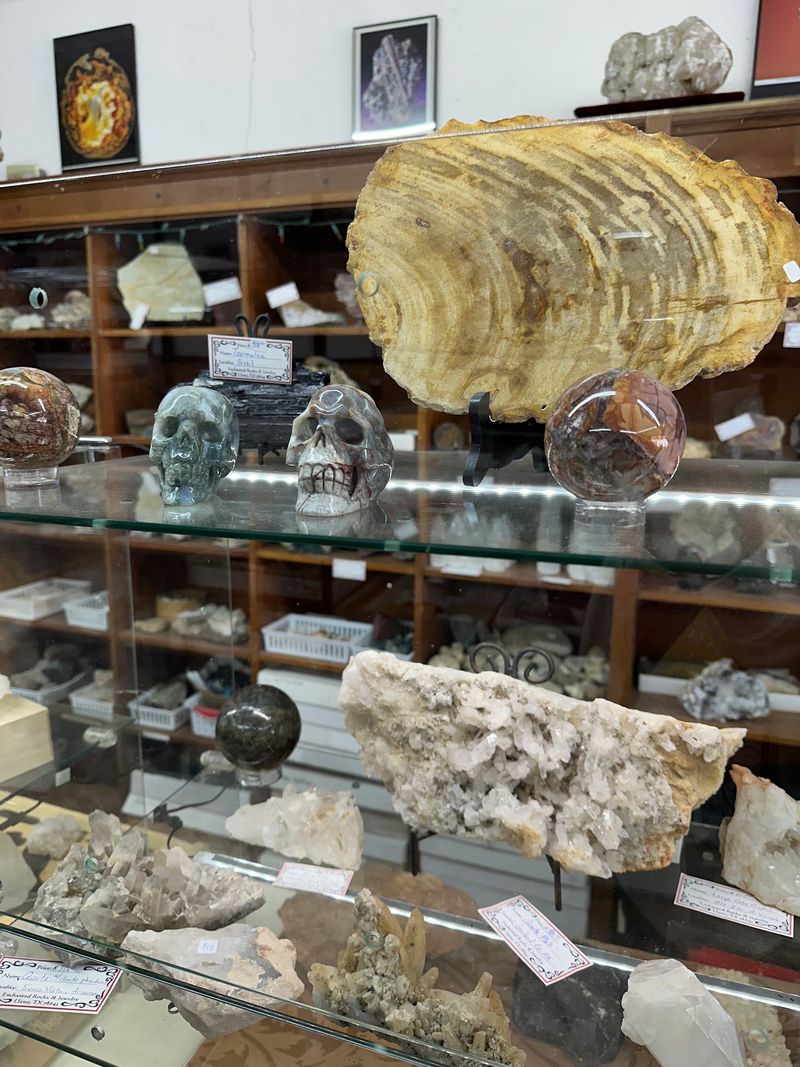 Fossils and Specimens From Around the World Fossils and Specimens From Around the World