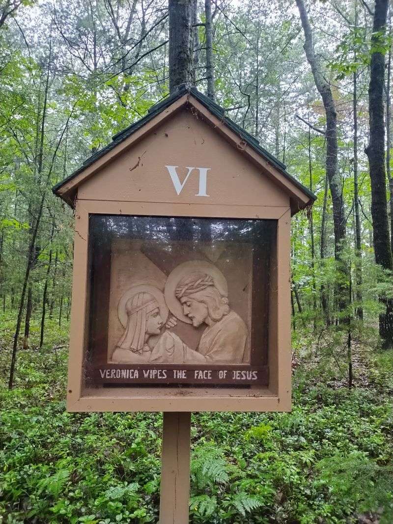 Fourteen Stops Along A Paved Forest Path