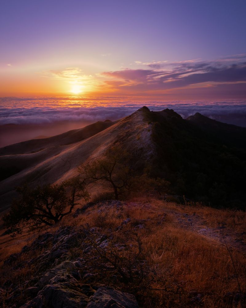 Fremont Peak State Park, San Juan Bautista, CA