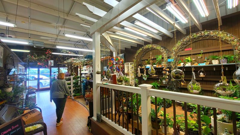 Fresh Cuts, Bring-Your-Own-Jar Honey, and a Terrarium Bar Fresh Cuts, Bring-Your-Own-Jar Honey, and a Terrarium Bar