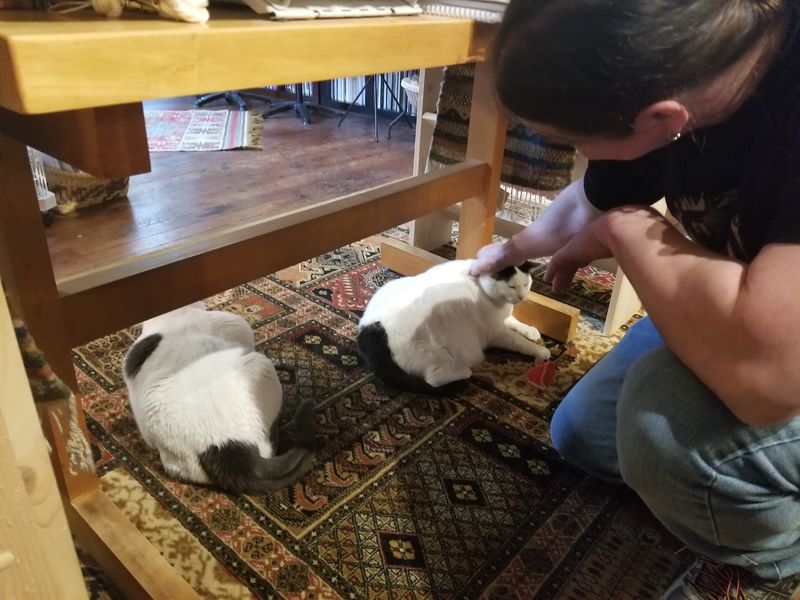 Friendly Owners Who Know Their Stuff