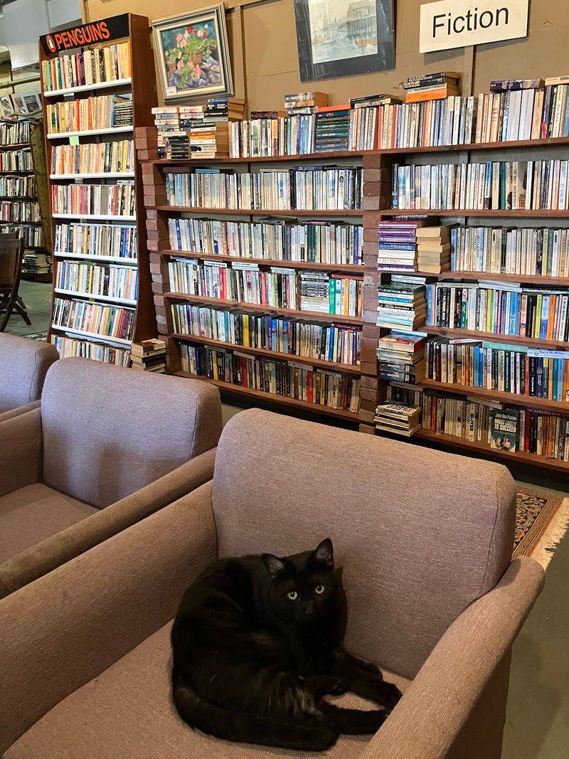 Furry Floor Managers With Excellent Attendance