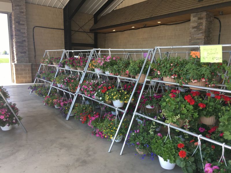 Garden Supplies, Pet Food And Surprise Overstock Finds Garden Supplies, Pet Food And Surprise Overstock Finds