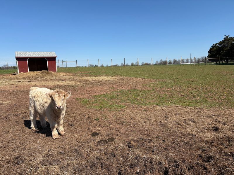 Good To Know Before You Drive Out To The Pasture Good To Know Before You Drive Out To The Pasture