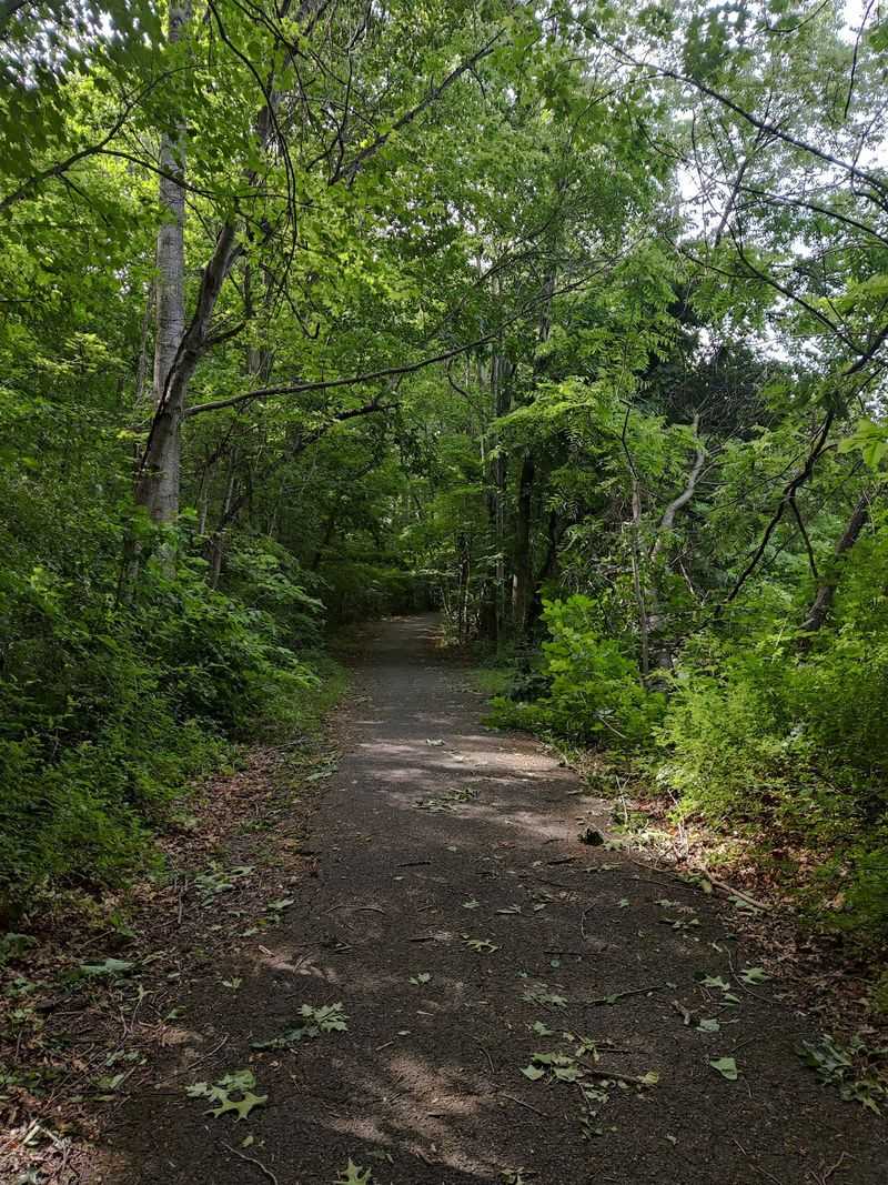 Green Shade Overhead Makes Every Mile Better Green Shade Overhead Makes Every Mile Better