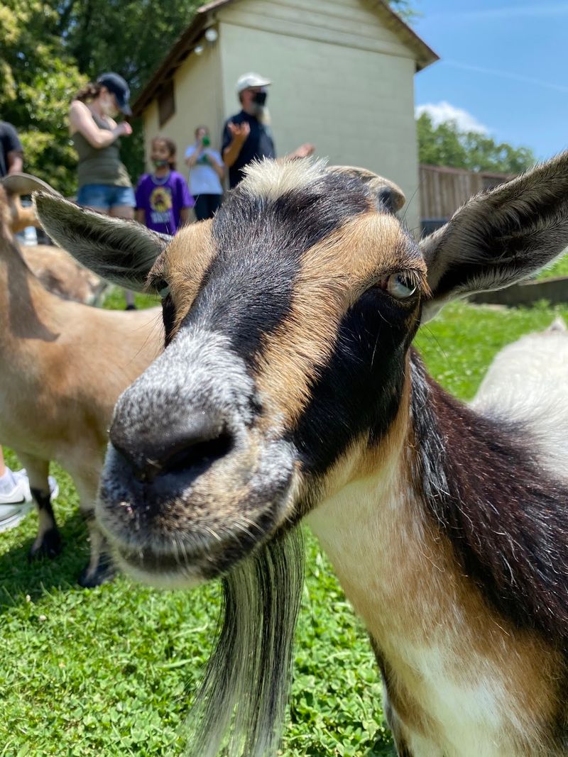 Guided Tours That Turn Animals Into Neighbors Guided Tours That Turn Animals Into Neighbors